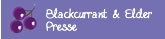 Blackcurrant & Elderflower Presse