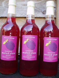  Mulled Plum Potion